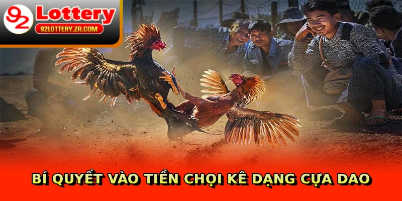 Bí quyết vào tiền chọi kê dạng cựa dao
