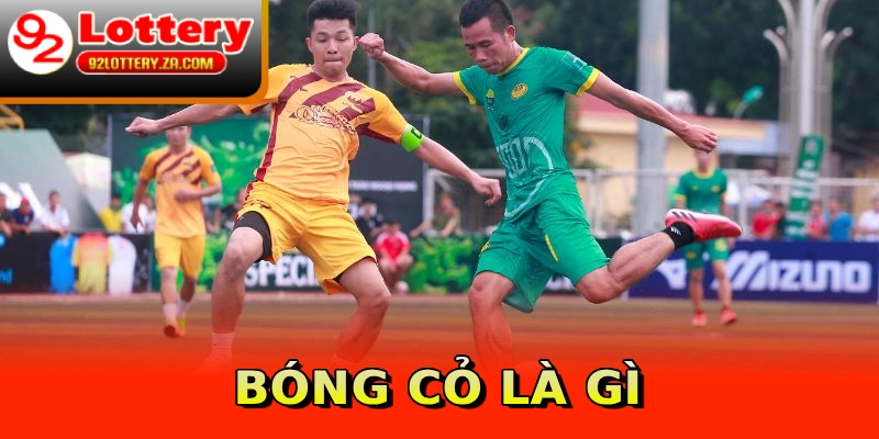 Bóng Cỏ Là Gì? Hướng Dẫn Cách Chơi Kiếm Về Thưởng Lớn 6 Bóng cỏ là gì
