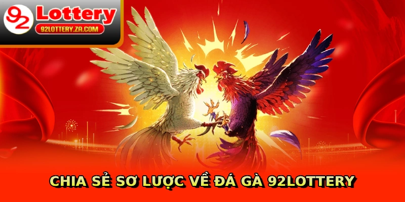 Chia sẻ sơ lược về đá gà 92lottery