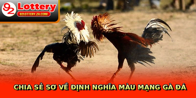 Chia sẻ sơ về định nghĩa màu mạng gà đá