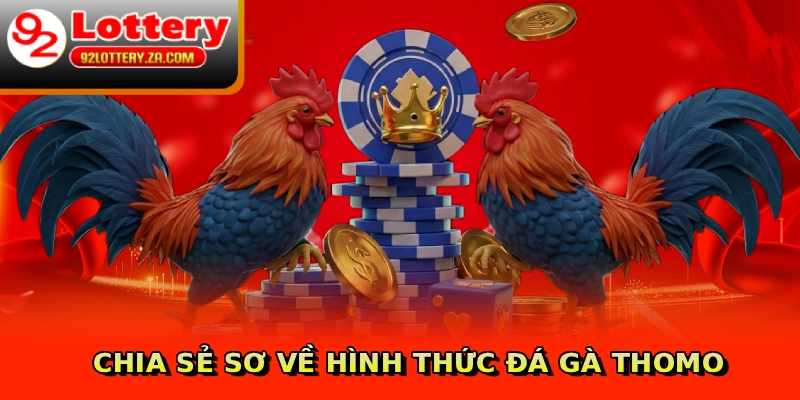 Chia sẻ sơ về hình thức đá gà Thomo
