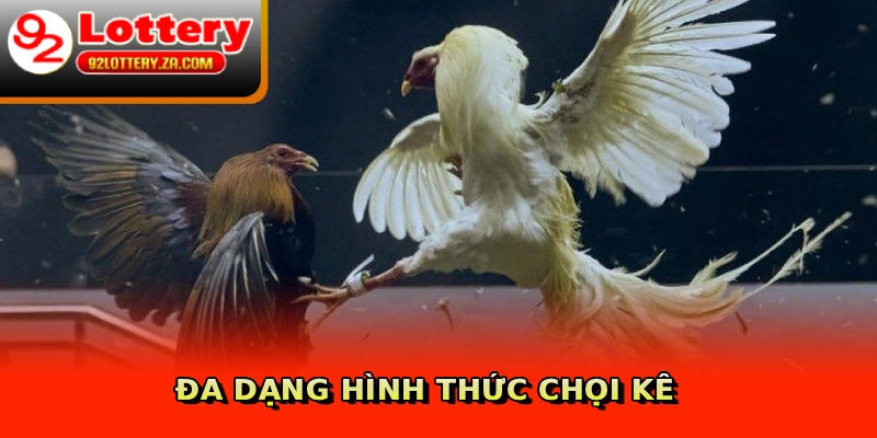Đa dạng hình thức chọi kê