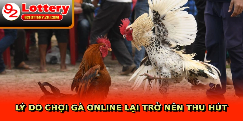 Lý do chọi gà online lại trở nên thu hút