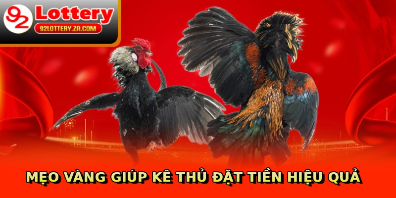 Mẹo vàng giúp kê thủ đặt tiền hiệu quả