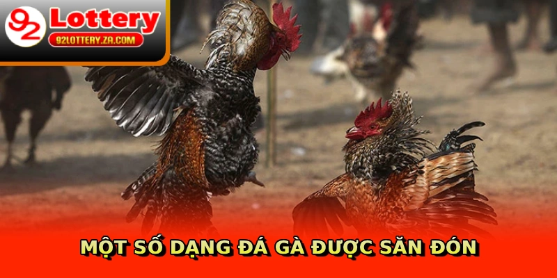 Một số dạng đá gà được săn đón