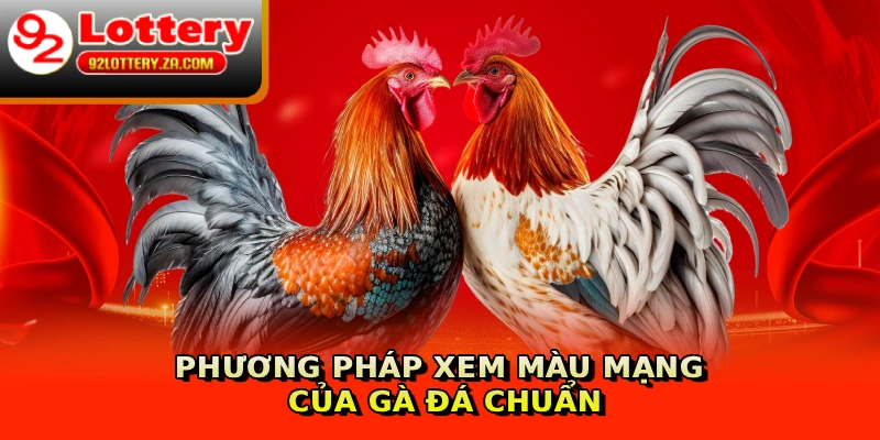 Phương pháp xem màu mạng của gà đá chuẩn