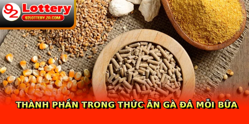 Thành phần trong thức ăn gà đá mỗi bữa