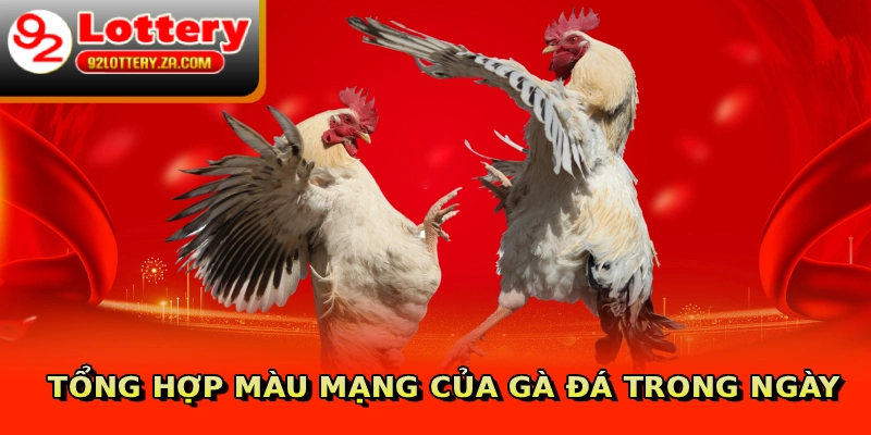 Tổng hợp màu mạng của gà đá trong ngày