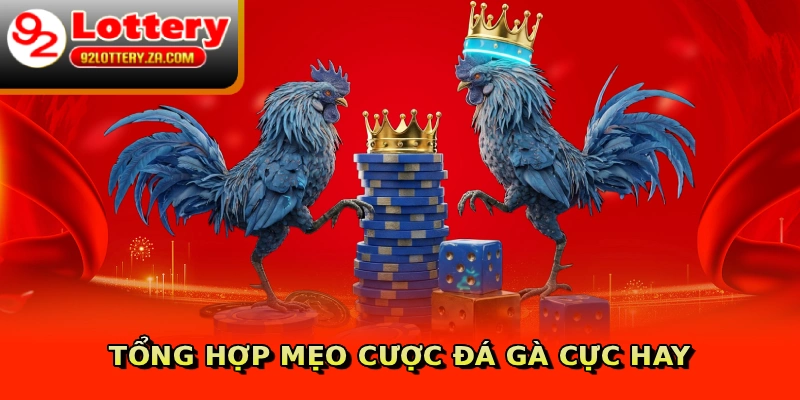 Tổng hợp mẹo cược đá gà cực hay